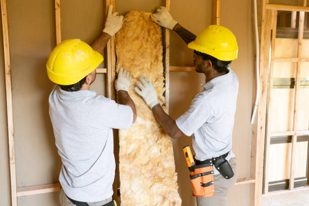 Best Crawl Space Insulation  in Lincoln Center, KS